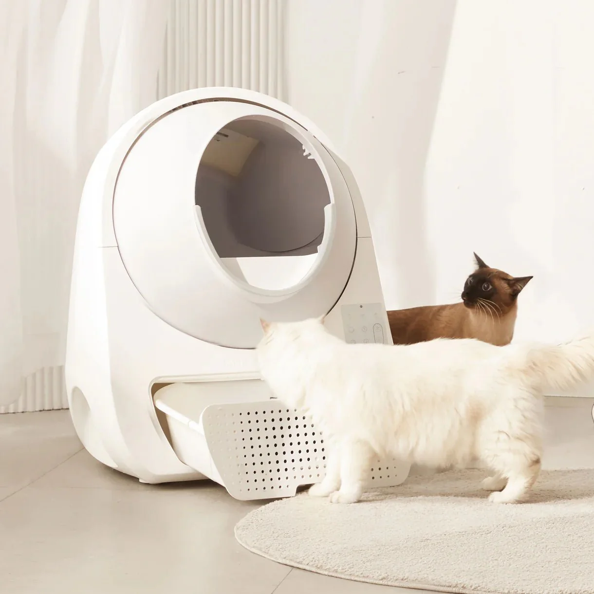 Catlink Pro-X Luxury Self-Cleaning Litter Box - Image 27