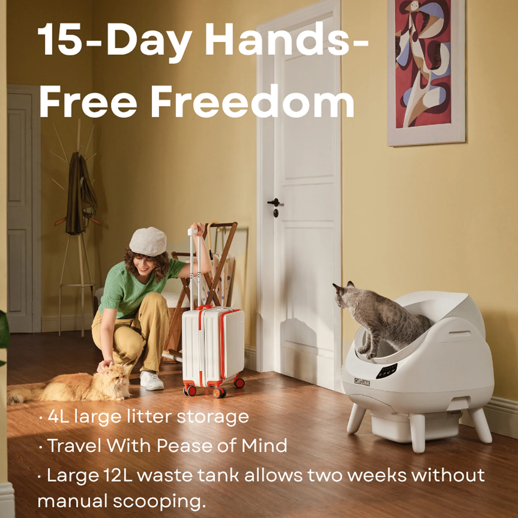 Clean & Feed Bundle - Litter Box, Feeder & Water Fountain Complete Set - Image 16