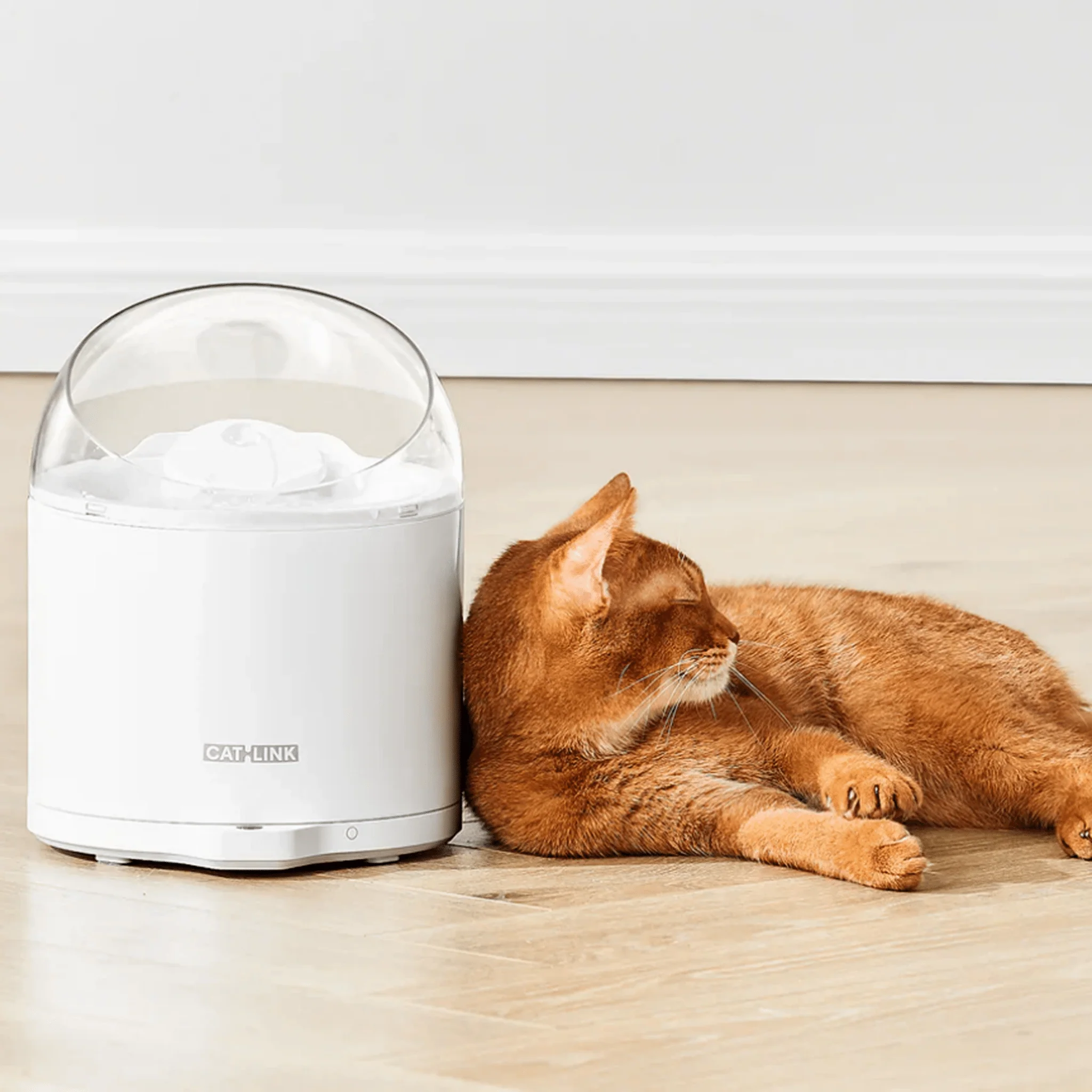 Clean & Feed Bundle - Litter Box, Feeder & Water Fountain Complete Set - Image 27