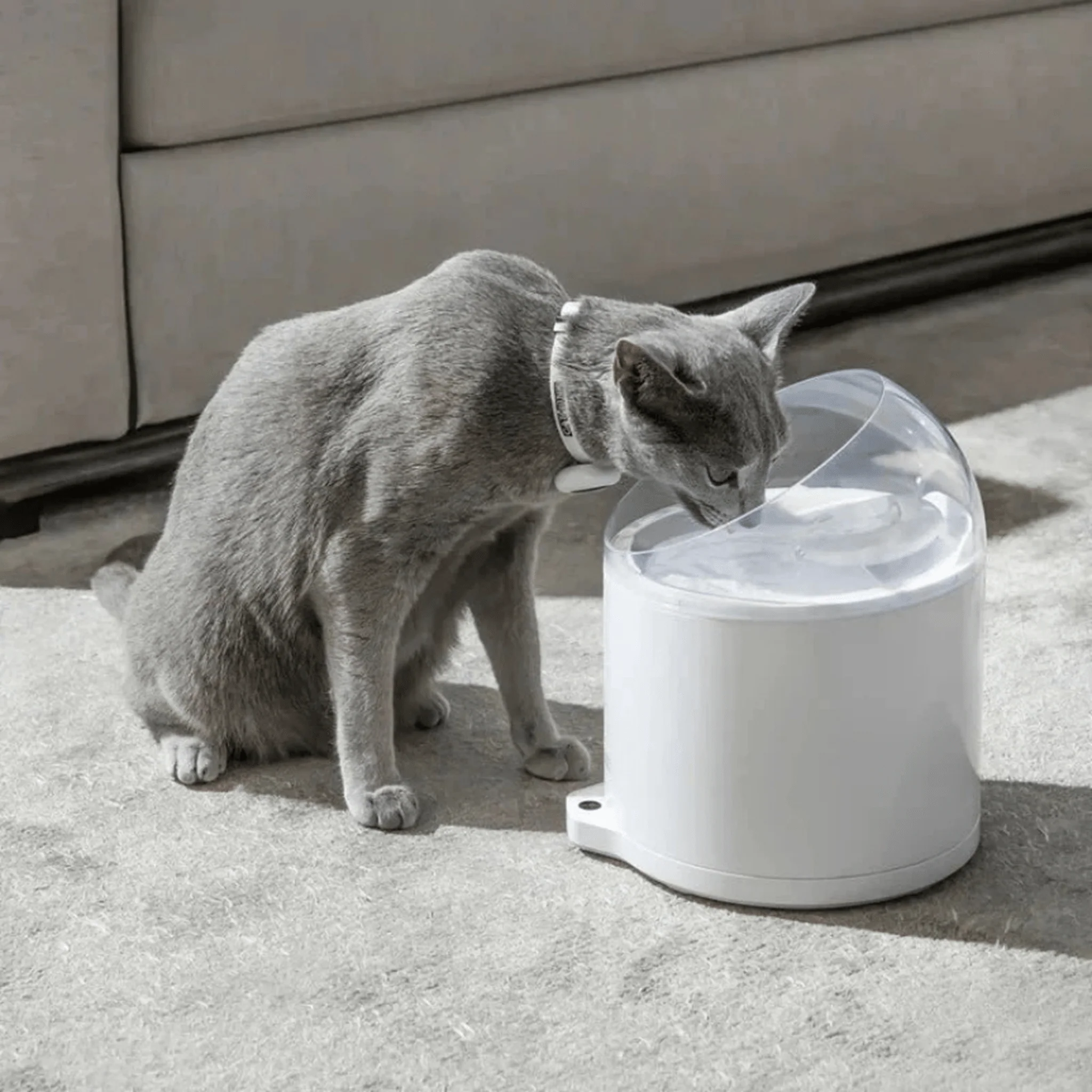 Clean & Feed Bundle - Litter Box, Feeder & Water Fountain Complete Set - Image 28
