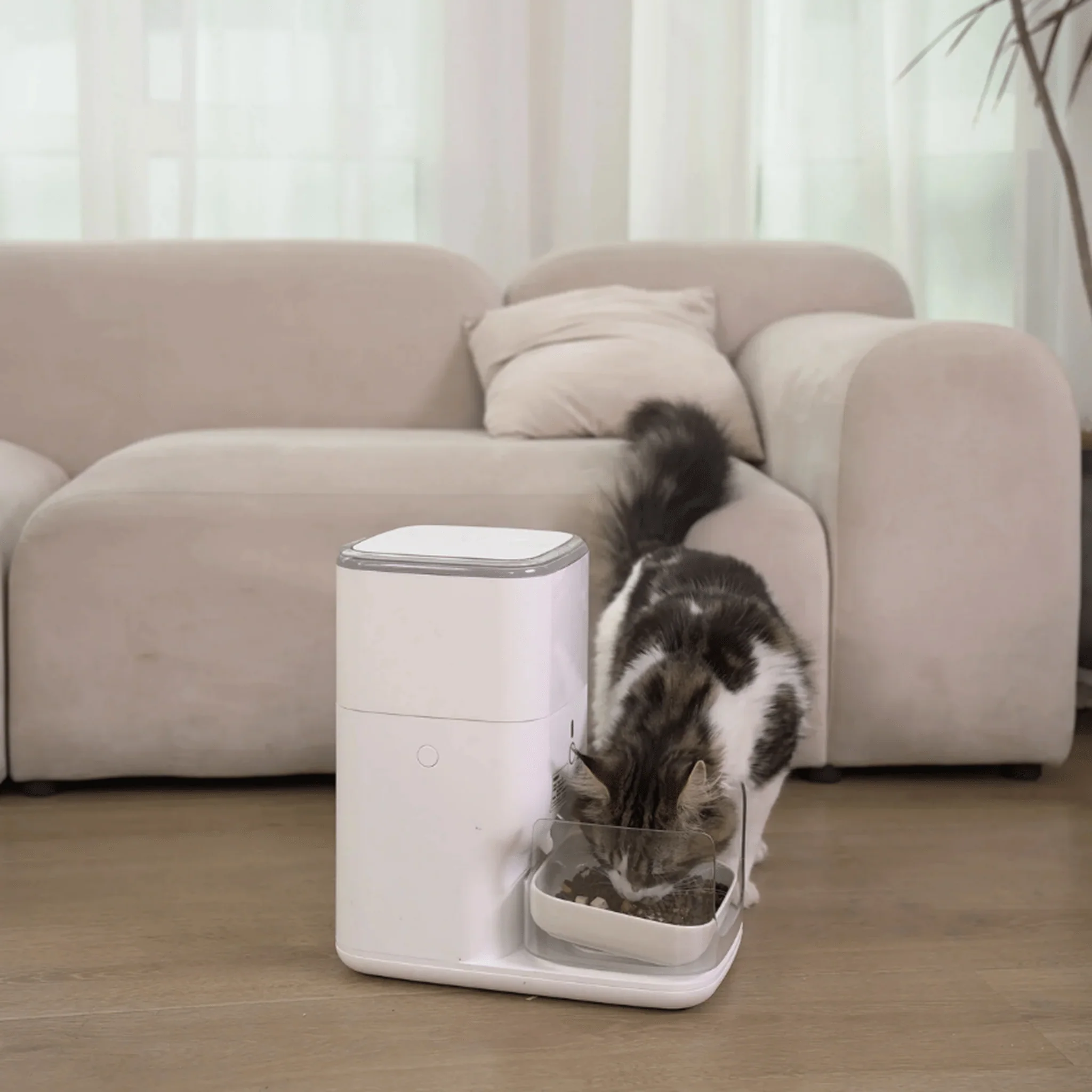 Clean & Feed Bundle - Litter Box, Feeder & Water Fountain Complete Set - Image 29
